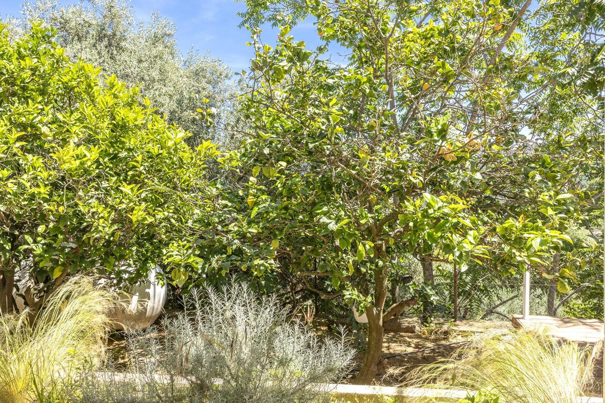 דירות מונטיסלו Casa Ortale מראה חיצוני תמונה